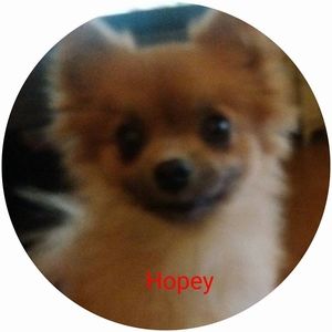 Meet your Posher, Lala